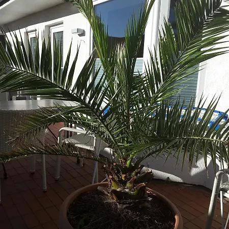 Strandidyll 公寓 *