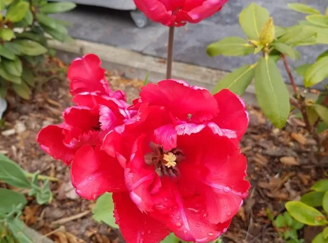 Strandidyll 公寓 于克里茨